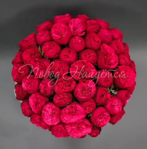 Пионовидные розы Букет Тайная страсть