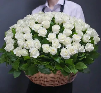 101 роза Букет Сан-Паулу