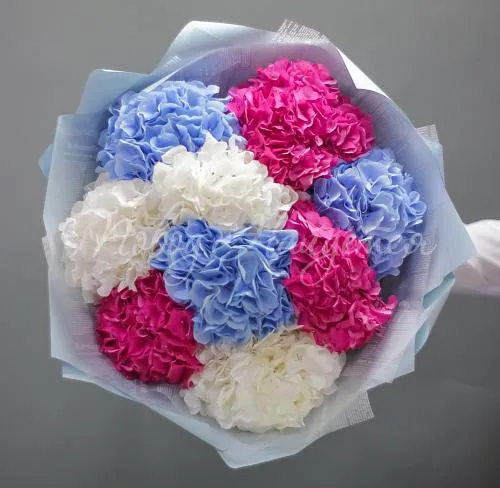 Цветы Букет Все краски мира