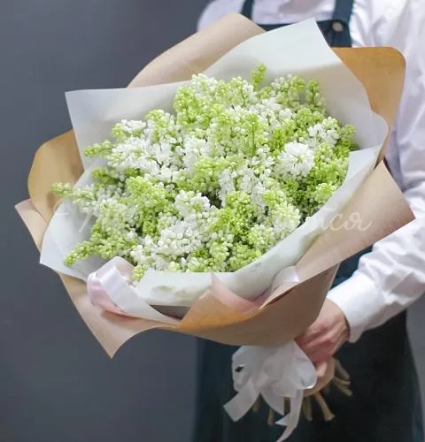 СИРЕНЬ Букет Белая сирень