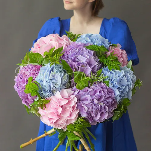 ГОРТЕНЗИИ Букет Подмосковные вечера