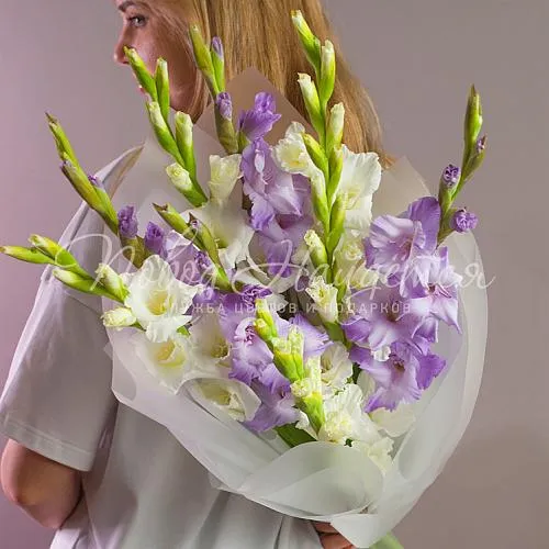 ГЛАДИОЛУСЫ Букет Балтика