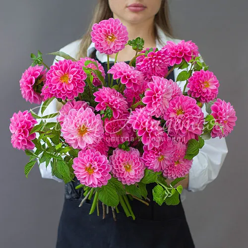 ГЕОРГИНЫ Букет Питайя