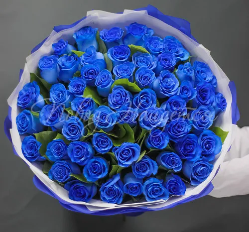 Розы Букет Пафос