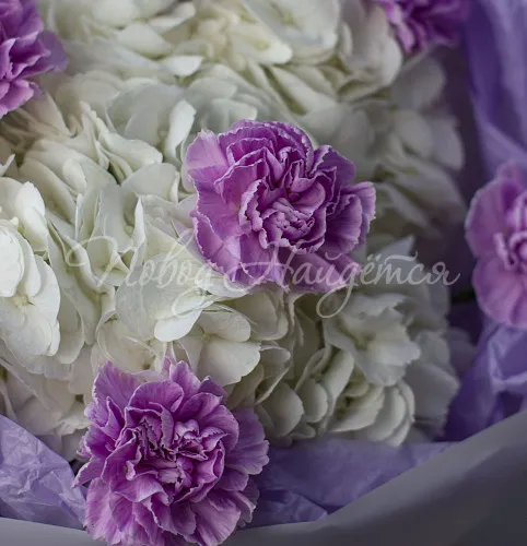 ГОРТЕНЗИИ Букет Ласковый ветерок