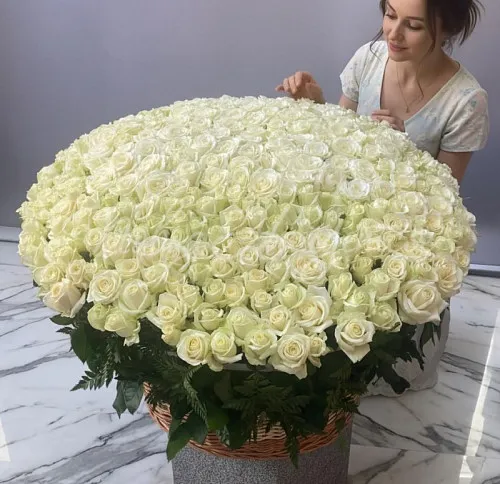 301 роза Букет 301 белая роза в корзине