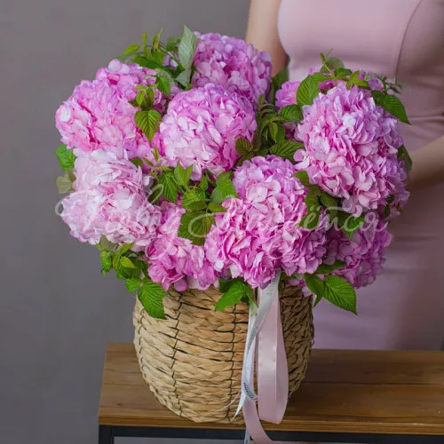 ГОРТЕНЗИИ Букет Нежно обнимаю