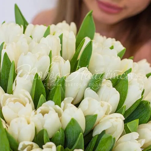 Моно Тюльпаны Букет Весеннее облако