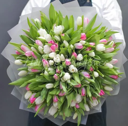 ТЮЛЬПАНЫ Букет Побережье