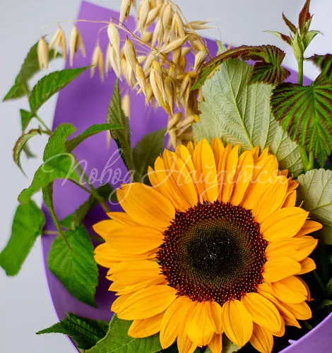 ПОДСОЛНУХИ Букет Всегда готов!