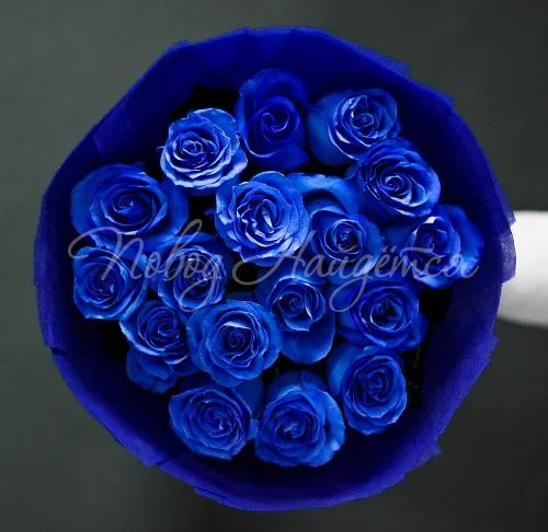 Синие розы Букет Анталия моя