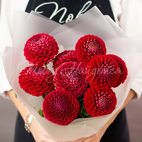 ГЕОРГИНЫ Букет Пряная вишня