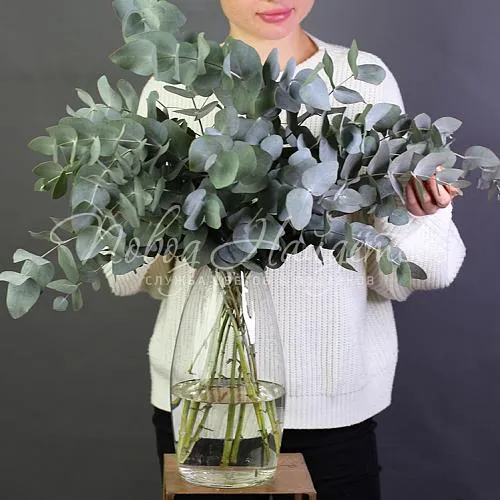 Новый год Букет Эвкалипта