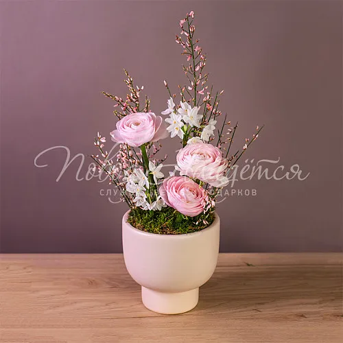 Букеты Букет Морозная клюква