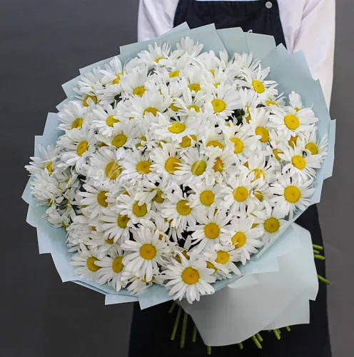 РОМАШКИ Букет Ромашковое поле