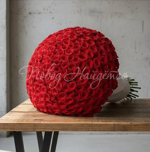 501 роза Букет Дели