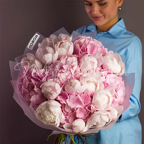 ГОРТЕНЗИИ Букет Яркие блики