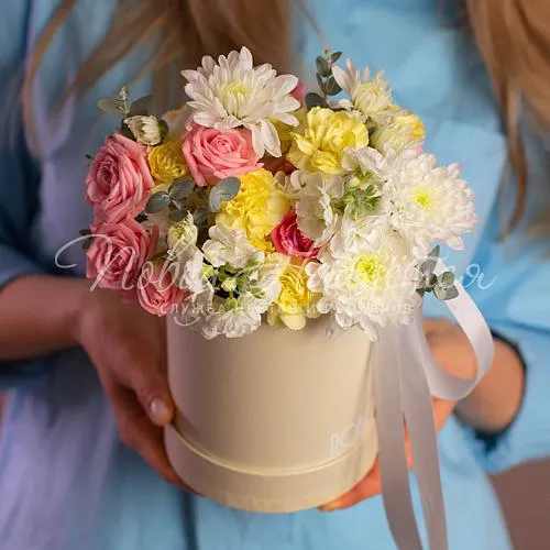 Коробки Корзина Пронзительный взгляд