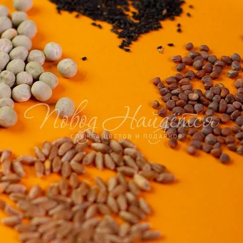 Зеленое Вырасти сам