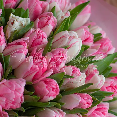 ТЮЛЬПАНЫ Букет Повод для улыбки