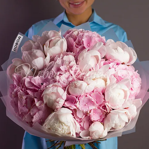 ГОРТЕНЗИИ Букет Яркие блики