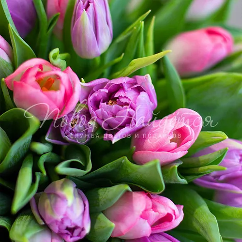 ТЮЛЬПАНЫ Букет Милка