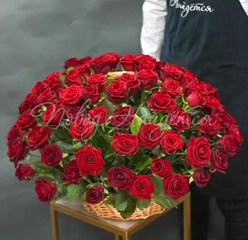 101 роза Букет Сорренто