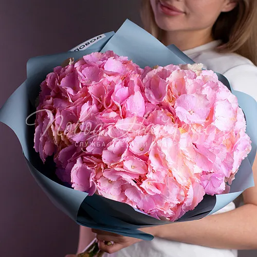 ГОРТЕНЗИИ Букет Розовое море