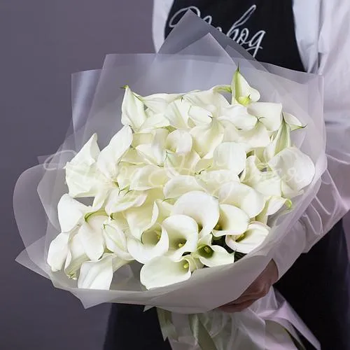 КАЛЛЫ Букет Снежное покрывало