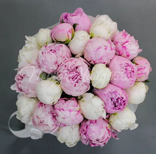 ПИОНЫ Букет Неженка