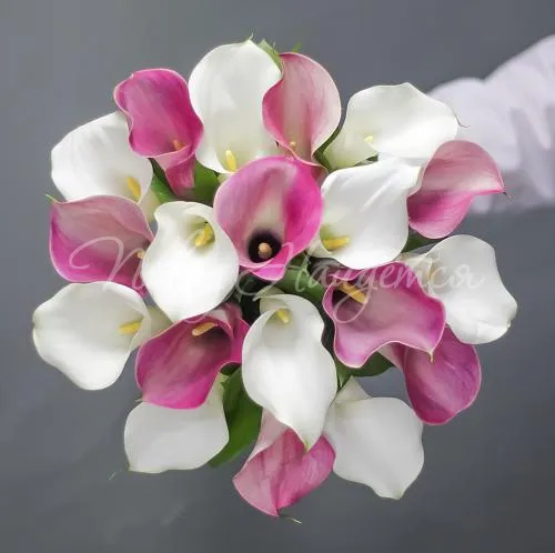 КАЛЛЫ Букет Деликатный вкус