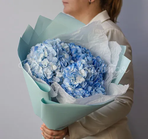 ГОРТЕНЗИИ Букет Морской ветер