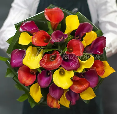 КАЛЛЫ Букет Комплимент