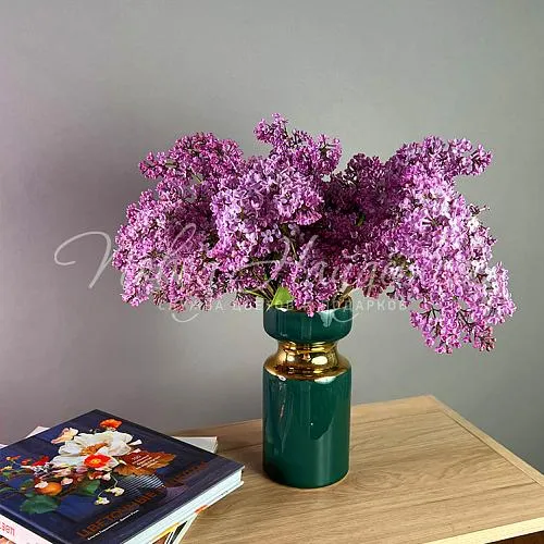 СИРЕНЬ Букет Весенняя песня