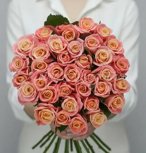 Розы Букет Миссис Пигги