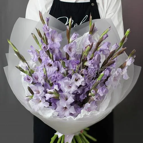 ГЛАДИОЛУСЫ Букет Самой нежной