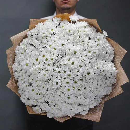 ХРИЗАНТЕМЫ Букет Взаимное притяжение