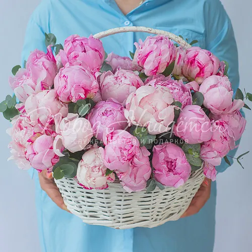 Дизайнерские корзины Корзина Сойка напела