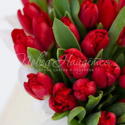 Моно Тюльпаны Букет Весеннее танго