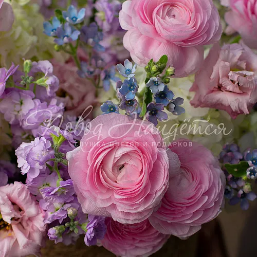 РАНУНКУЛЮСЫ Букет Зефирные облака