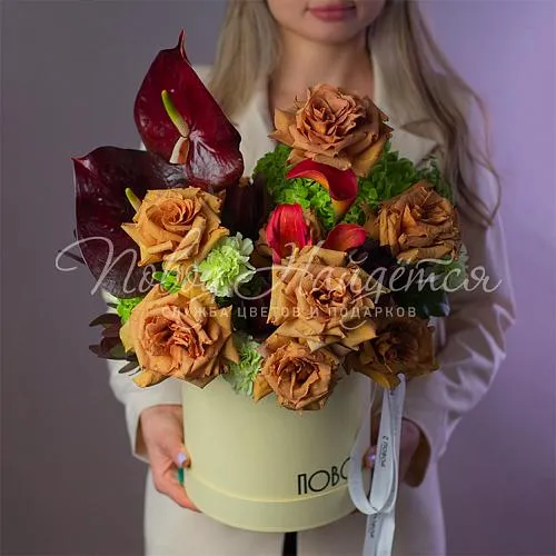 Мужская коллекция Коллекция Брауни