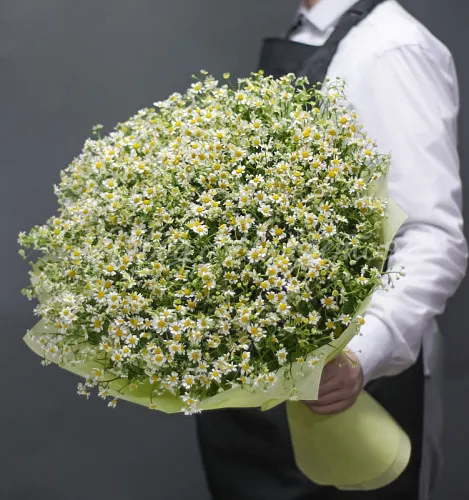 РОМАШКИ Букет Монреаль