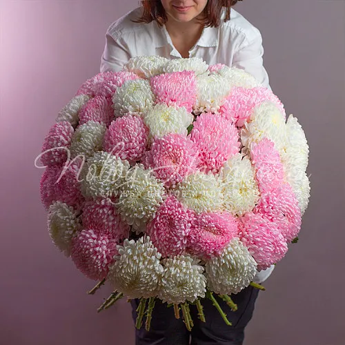 Моно Хризантемы Букет Колесо фортуны