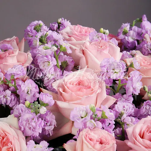 Пионовидные розы Букет Любовь в унисон