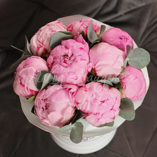 ПИОНЫ Букет Нежной девочке