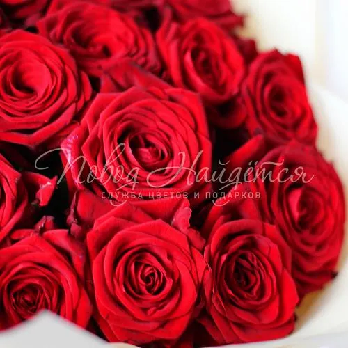 Розы Букет Утро в Париже