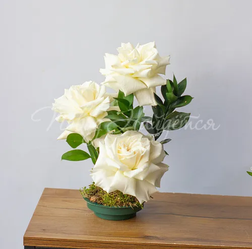 Мини-композиции Цветочная композиция Композиция №125