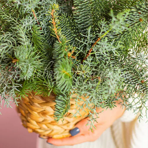 Новый год Волшебный лес