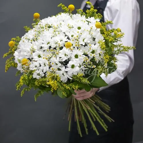 РОМАШКИ Букет Парад планет