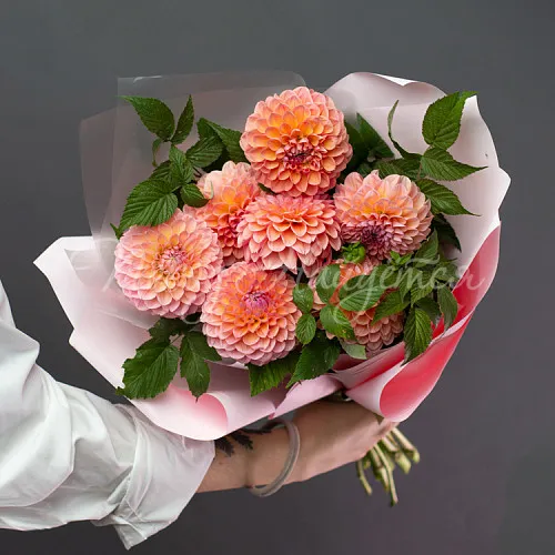 ГЕОРГИНЫ Букет Госпожа Бовари